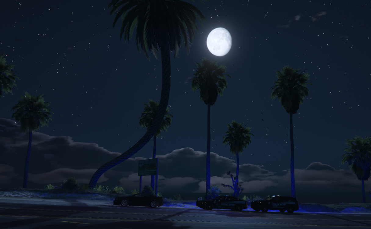 San Andreas State Police vehicles patrolling at night